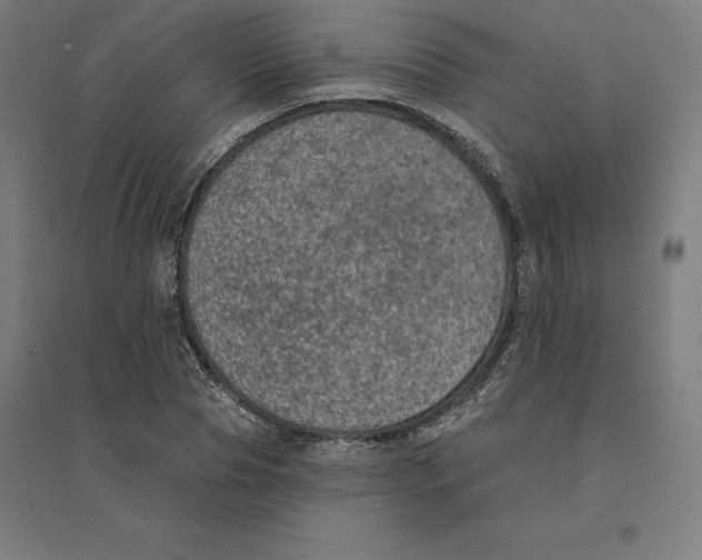 X0000094460929200712061220