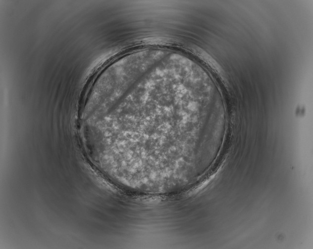 X0000094460930200712061220