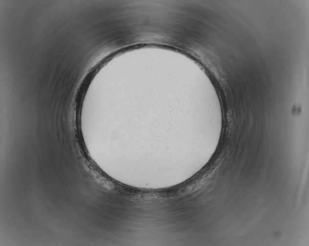 X0000094460931200712061220