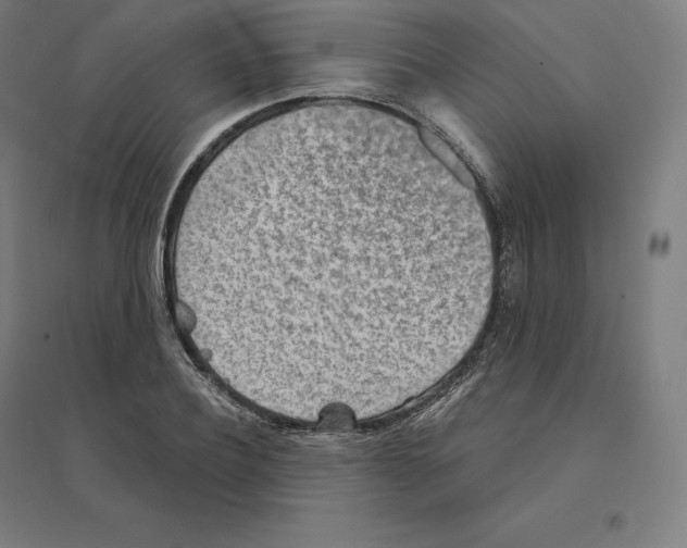 X0000094460932200712061220