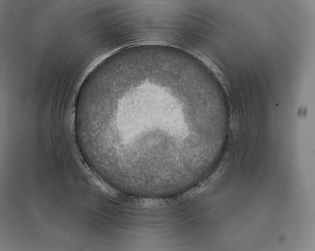 X0000094460933200712061220