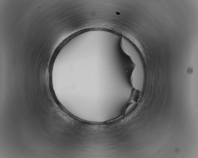 X0000094460936200712061220