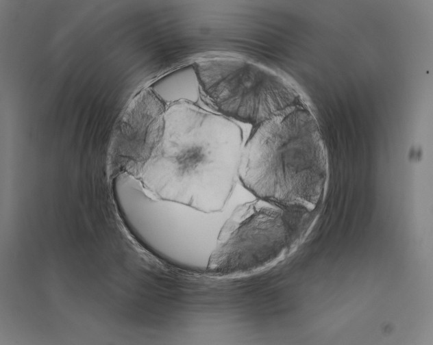 X0000094460937200712061220