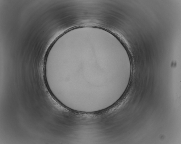 X0000094460941200712061220