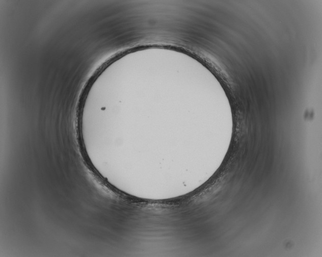 X0000094460942200712061220