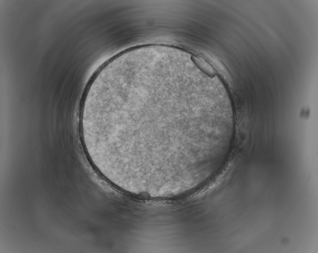 X0000094460944200712061220