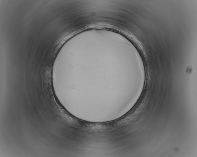 X0000094460945200712061220