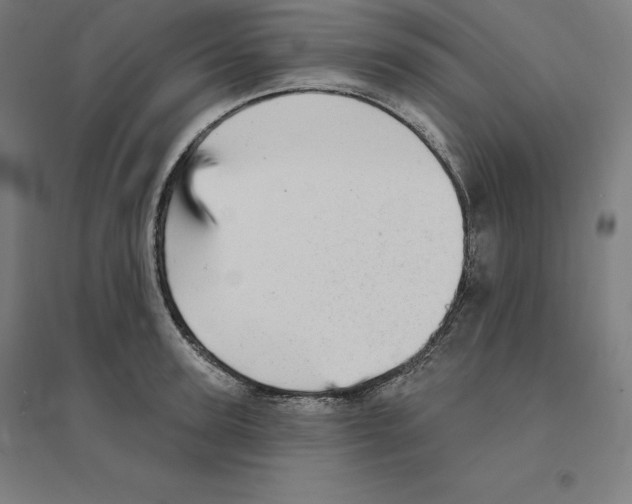 X0000094460947200712061220