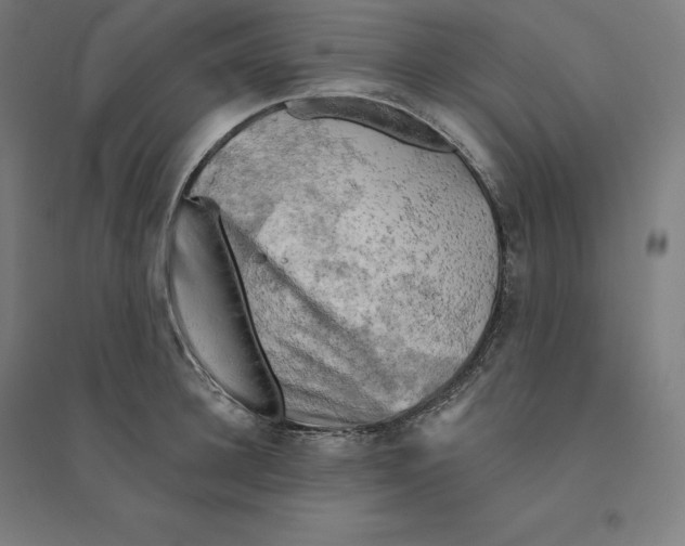 X0000094460948200712061220