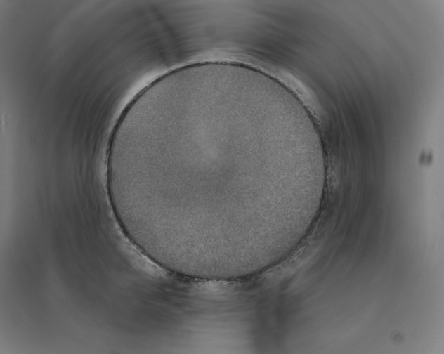 X0000094460950200712061220