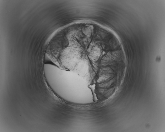 X0000094460953200712061220