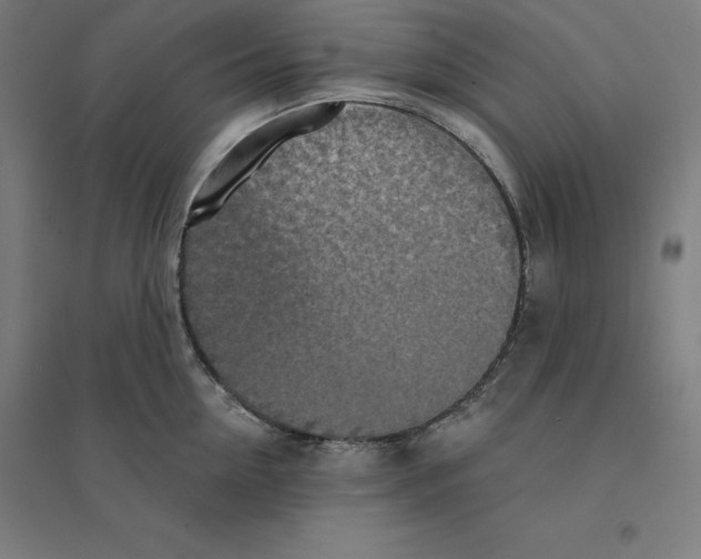 X0000094460954200712061220