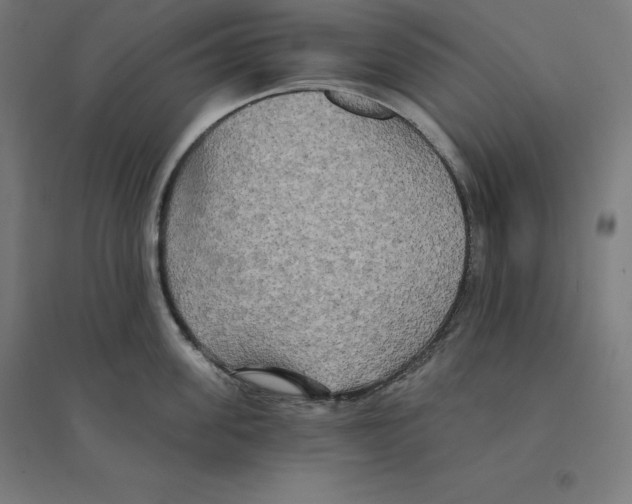 X0000094460955200712061220