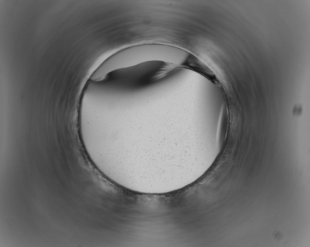 X0000094460956200712061220