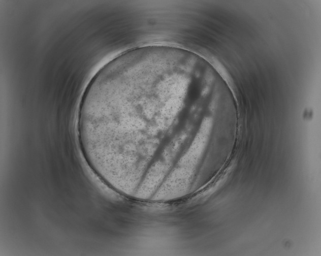 X0000094460957200712061220