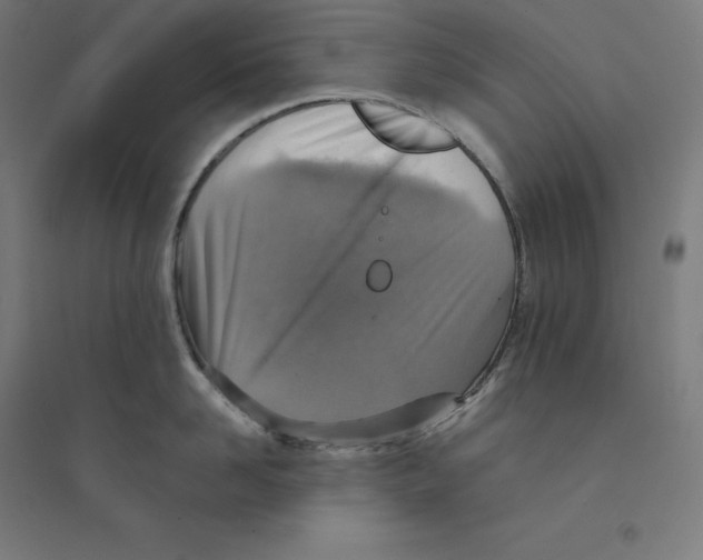 X0000094460958200712061221