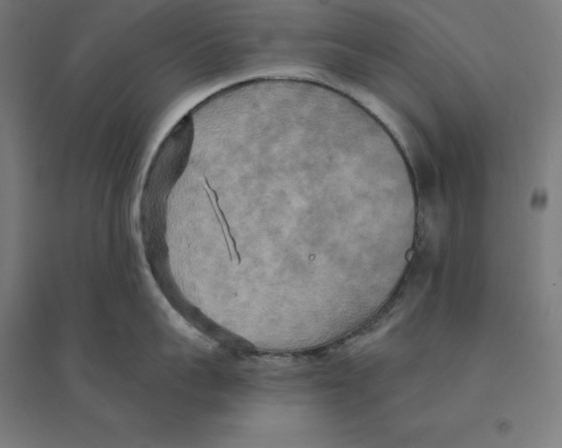 X0000094460959200712061221