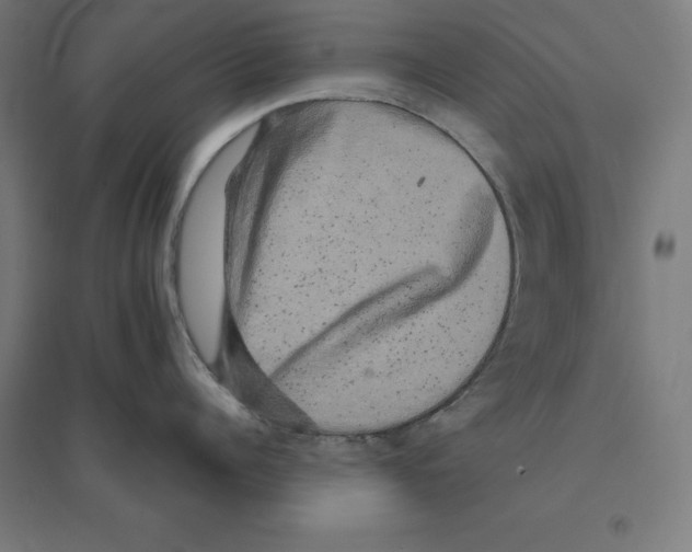 X0000094460960200712061221