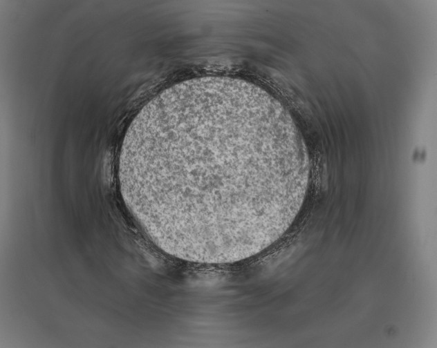 X0000094460962200712061220