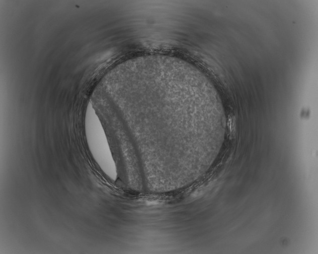 X0000094460963200712061220