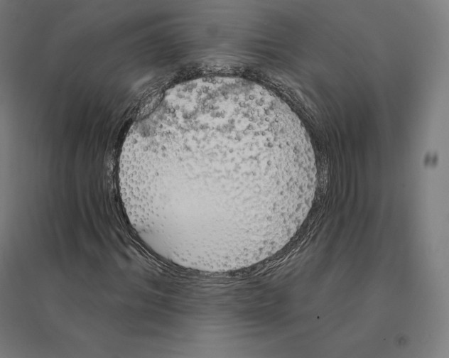 X0000094460964200712061220