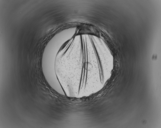 X0000094460965200712061220