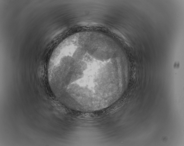 X0000094460966200712061220