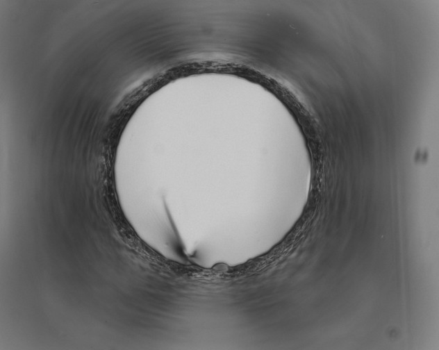 X0000094460967200712061220