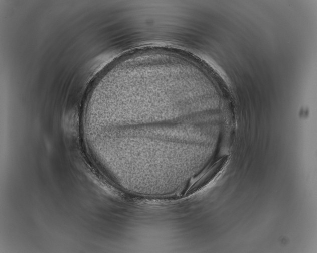 X0000094460969200712061220