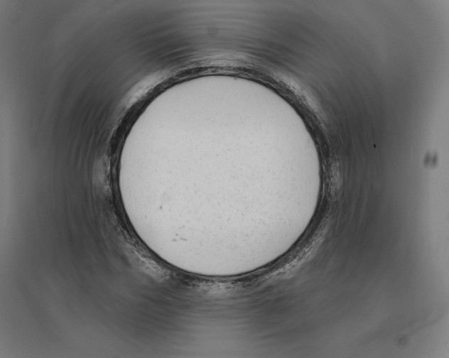 X0000094460970200712061220