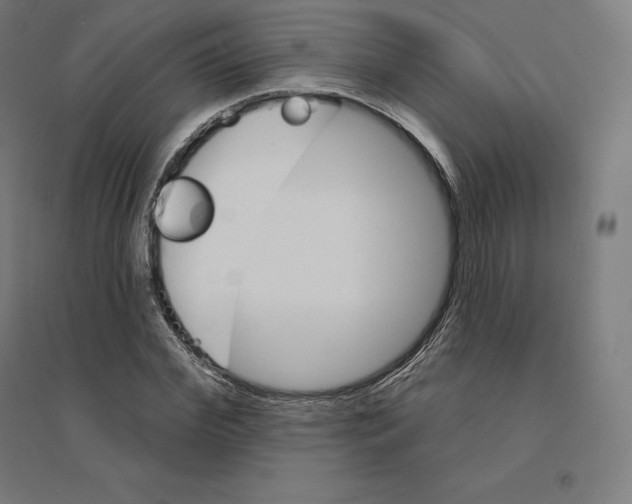 X0000094460972200712061220