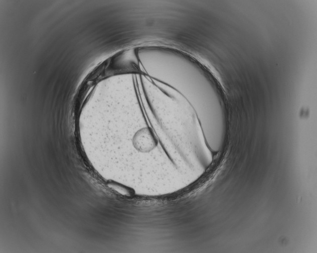 X0000094460973200712061220