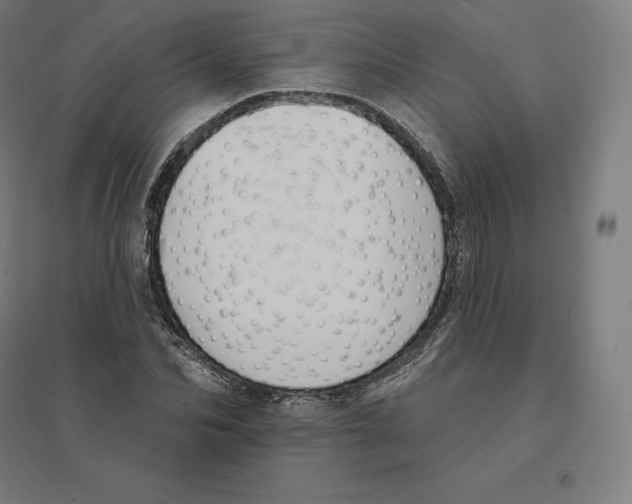 X0000094460974200712061220