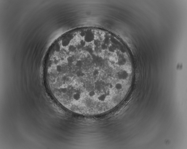 X0000094460975200712061220