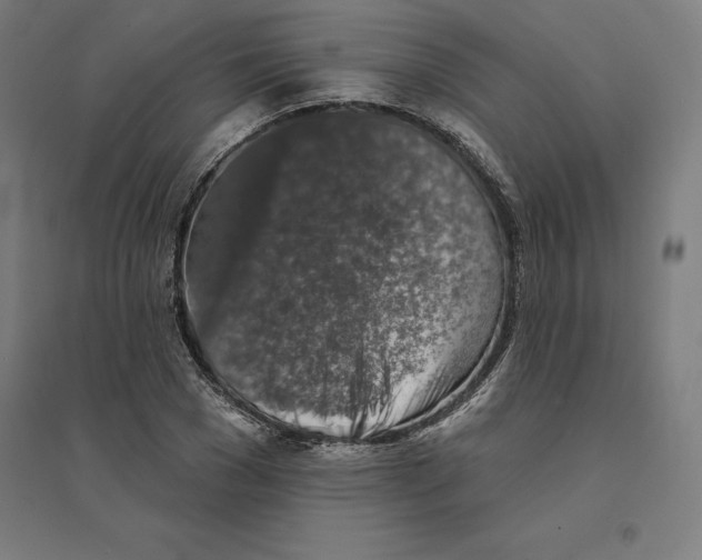 X0000094460977200712061220