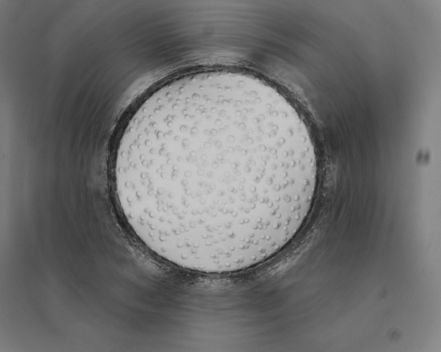 X0000094460978200712061220