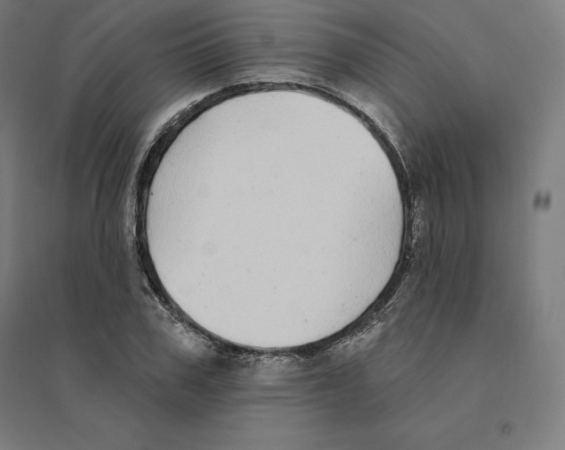 X0000094460979200712061220