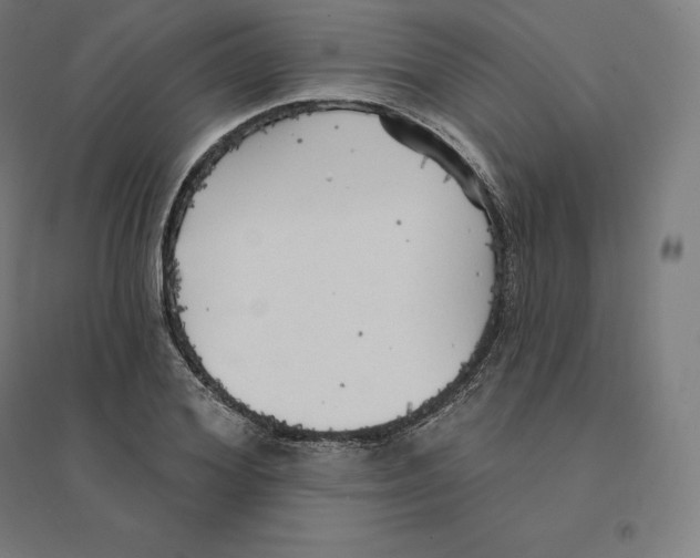 X0000094460980200712061220