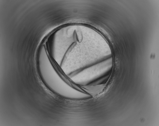 X0000094460981200712061220