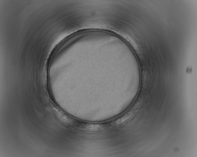 X0000094460982200712061220