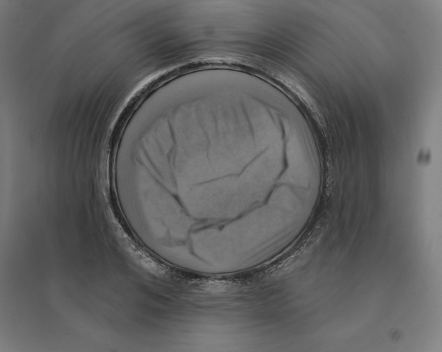 X0000094460984200712061220