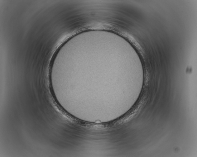 X0000094460986200712061220