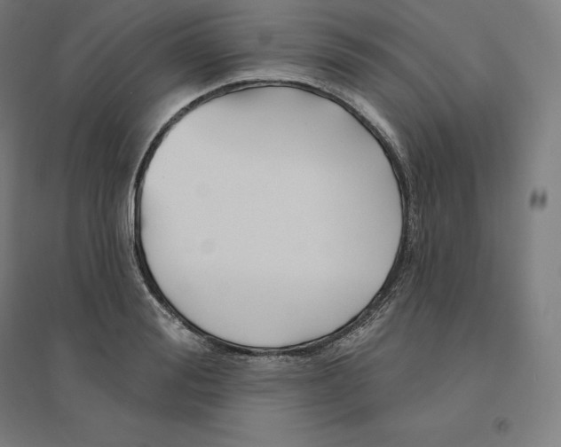 X0000094460988200712061219