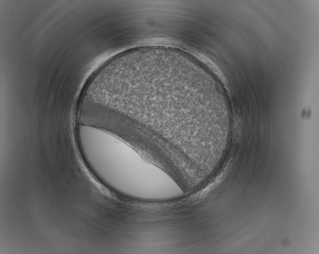 X0000094460989200712061219