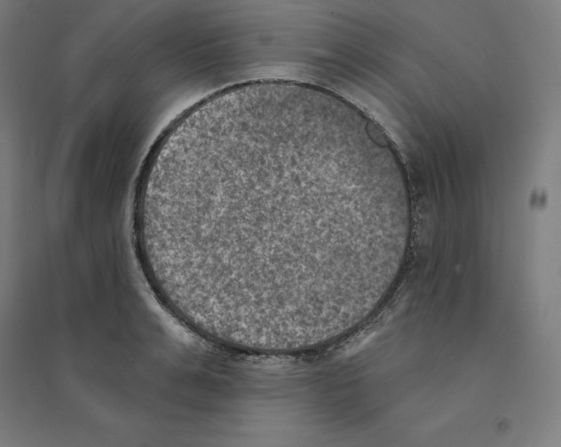 X0000094460991200712061219