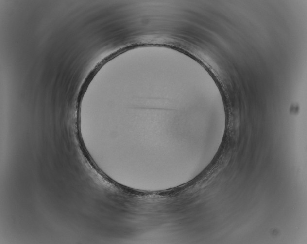 X0000094460992200712061219