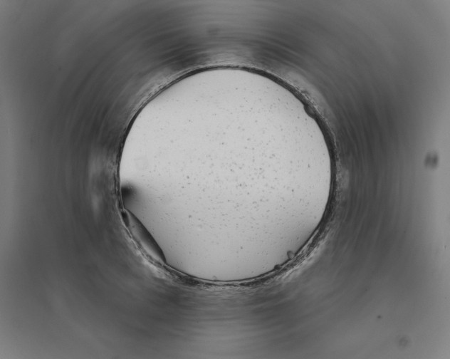 X0000094460993200712061219