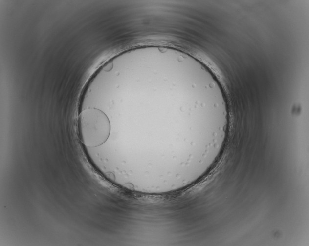 X0000094460994200712061219