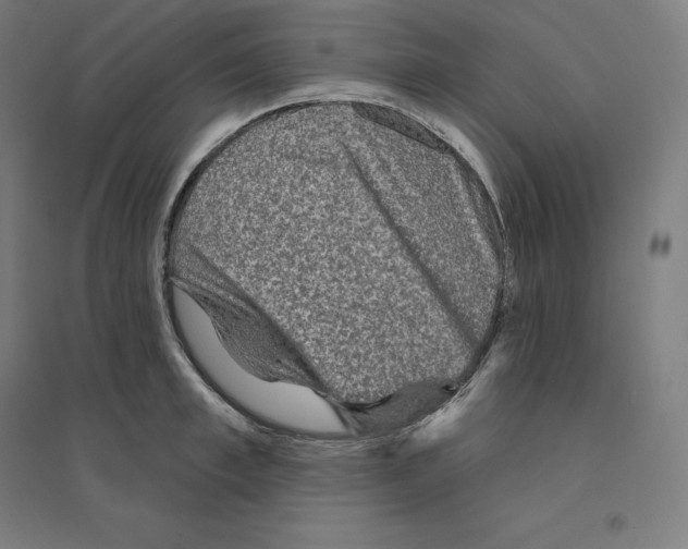 X0000094460997200712061219