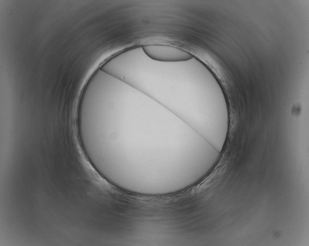 X0000094461000200712061219